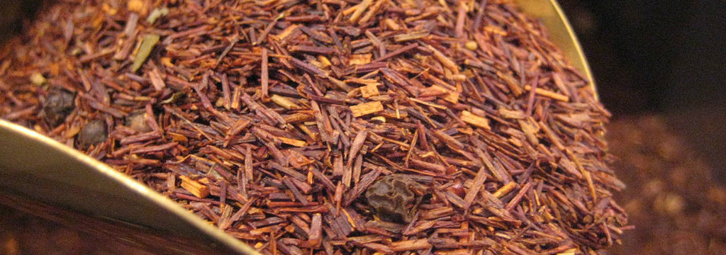 Rooibos